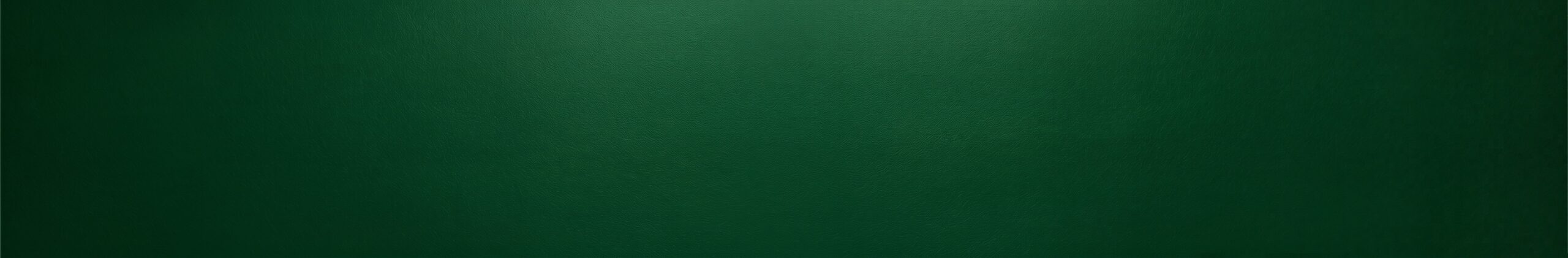 Rolex Banner Green